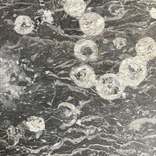 19th Century Walnut Commode Grey Marble