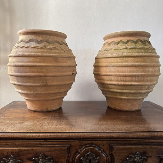Terracotta Pots