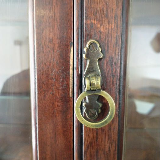 C19th mahogany display cabinet vitrine