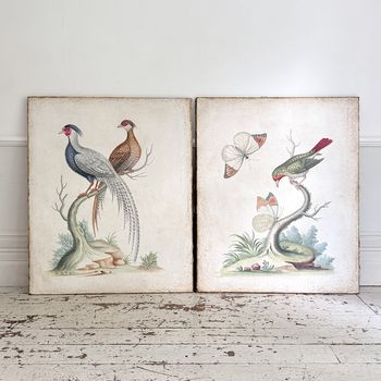 Two Large Italian Oil on Gesso Exotic Bird Paintings