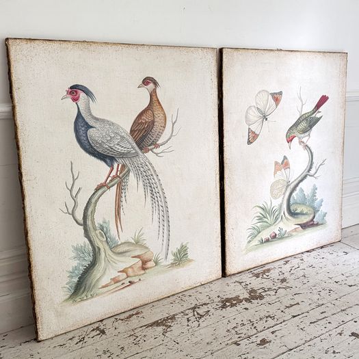 Two Large Italian Oil on Gesso Exotic Bird Paintings