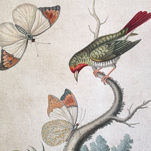 Two Large Italian Oil on Gesso Exotic Bird Paintings