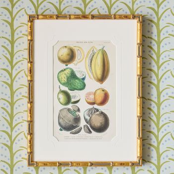 A pair of 19th century hand-coloured copper engravings after botanical illustrations by J Bishop and Walter Hood Fitch