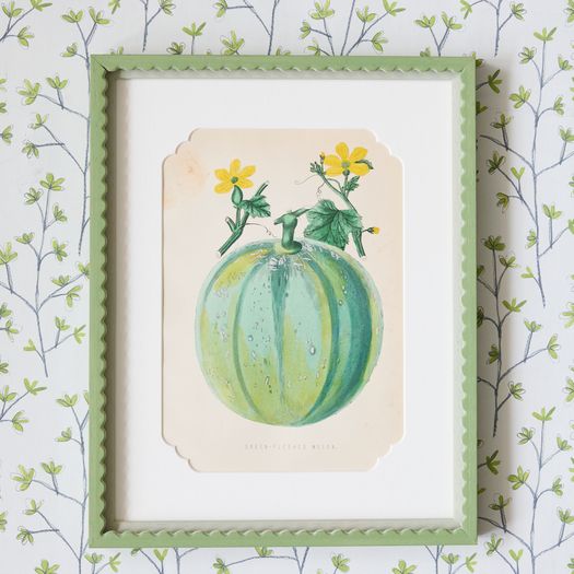 A pair of 19th century hand-coloured chromolithographs of a Green-Fleshed Melon and a Gansels Bergamot Pear