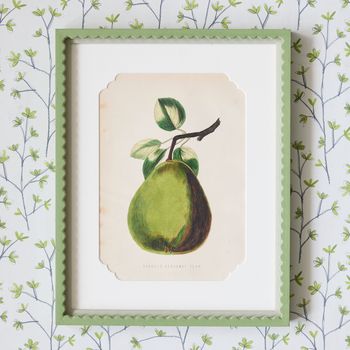 A pair of 19th century hand-coloured chromolithographs of a Green-Fleshed Melon and a Gansels Bergamot Pear