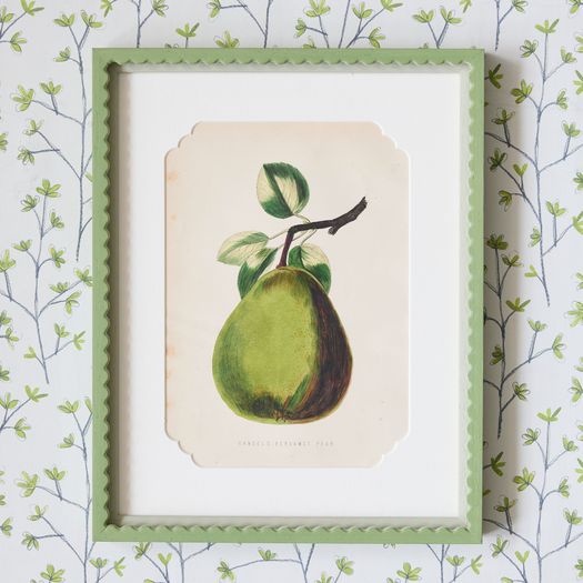 A pair of 19th century hand-coloured chromolithographs of a Green-Fleshed Melon and a Gansels Bergamot Pear