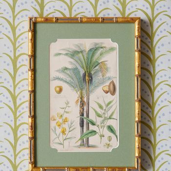 A 19th century hand-coloured copper engraving of the fruitful palm with gomuti, hemp and jute after a botanical illustration by J Bishop and Walter Hood Fitch