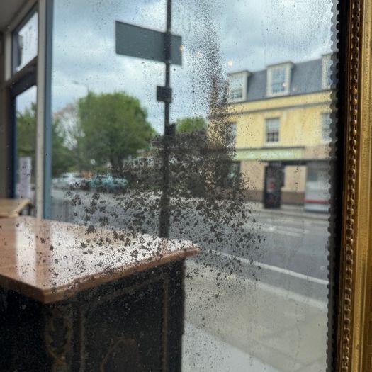 Louis Philippe arch top mirror