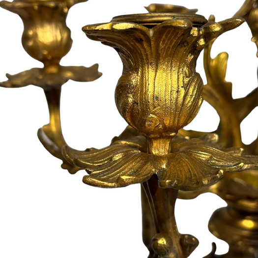 Rococo ormolu 6 branch candelabra