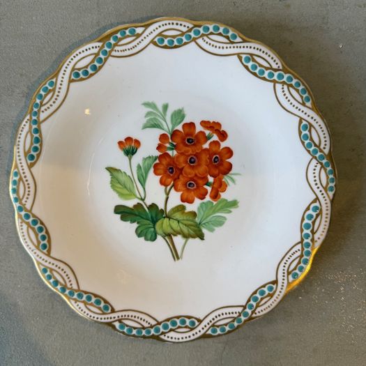 Set of 12 botanical plates