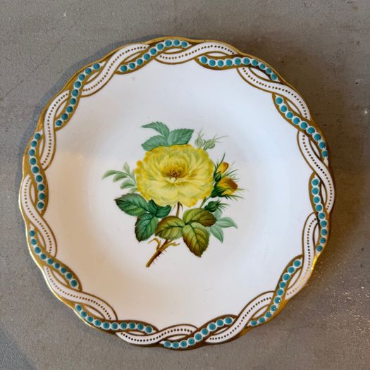 Set of 12 botanical plates