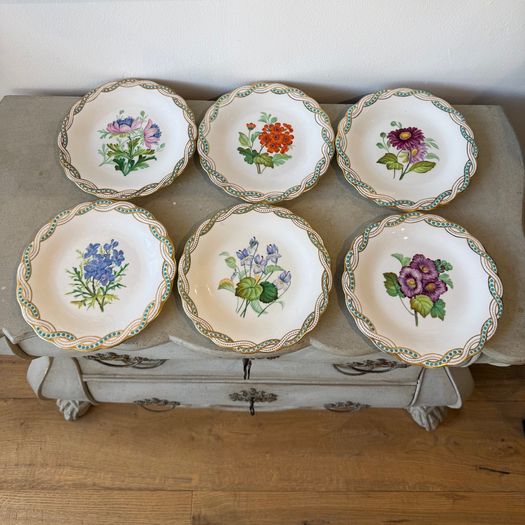 Set of 12 botanical plates