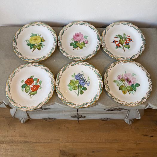 Set of 12 botanical plates