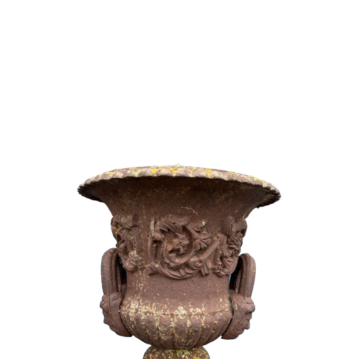 Pair of 19th century cast iron campagna urns on bases