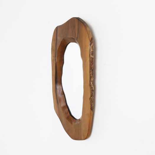 A Freeform Tree Trunk Mirror