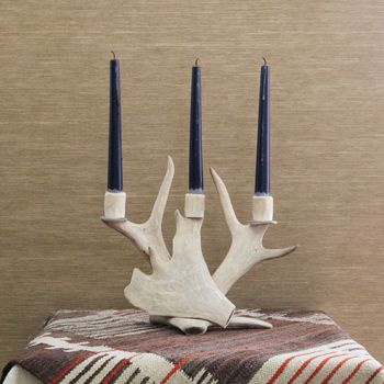 An Antler Candelabra