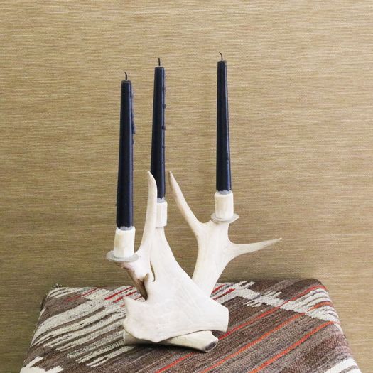 An Antler Candelabra