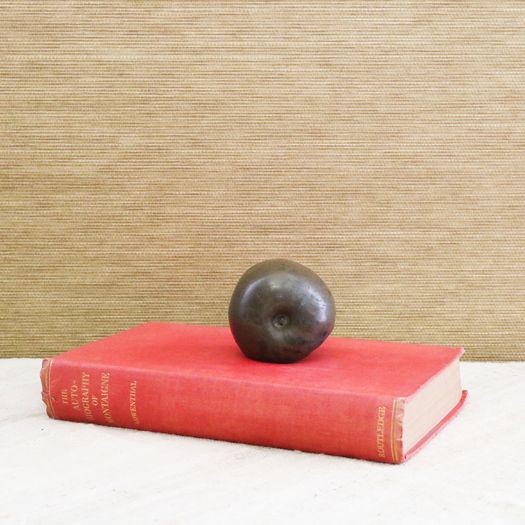 A Bronze Apple Paperweight