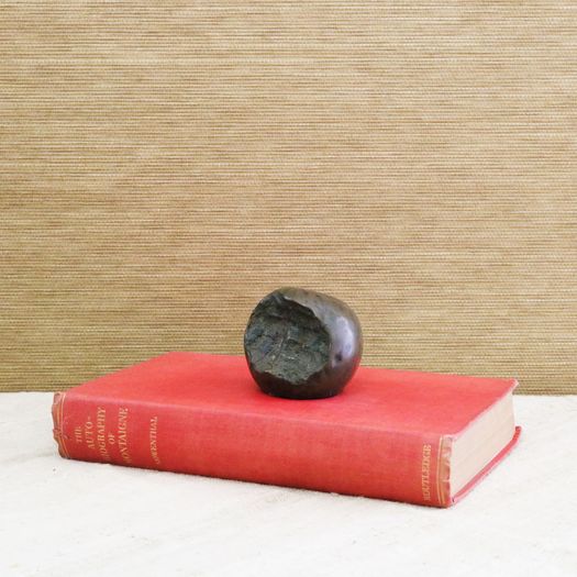 A Bronze Apple Paperweight