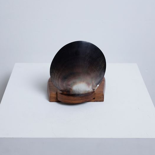 A Tahiti Oyster Box