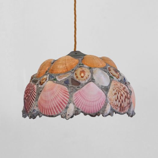 A Shell Pendant Light