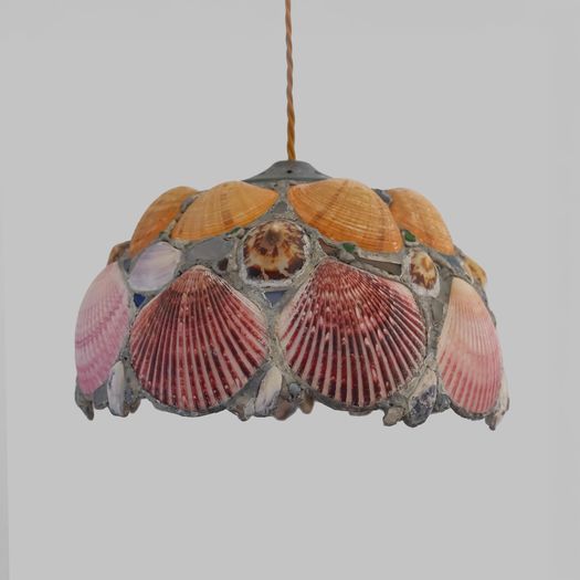 A Shell Pendant Light