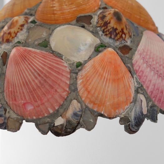 A Shell Pendant Light