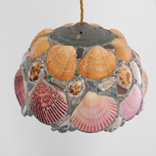 A Shell Pendant Light
