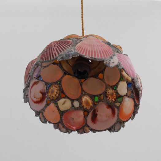 A Shell Pendant Light