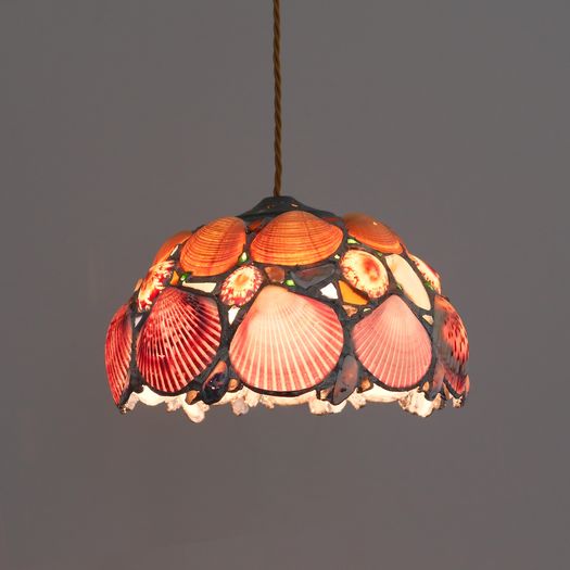 A Shell Pendant Light