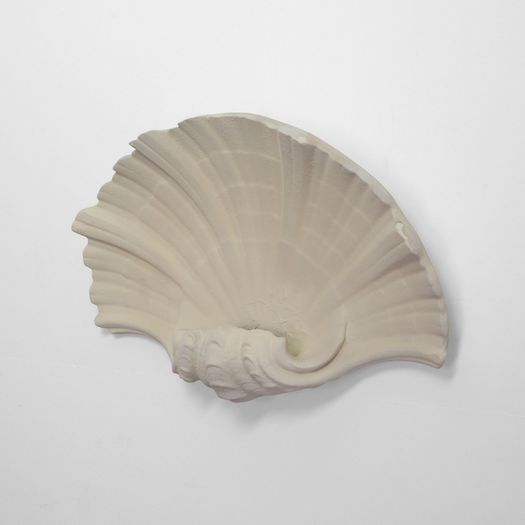 A Plaster Shell Sconce