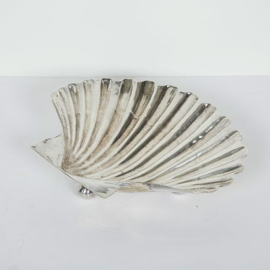 A Pair of Shell Dishes