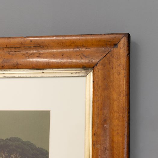 Coloured Bay of Naples Print