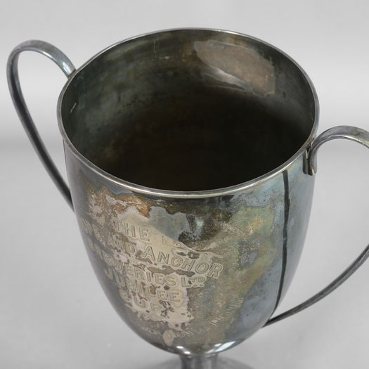 Silver Plated Trophy