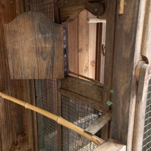 Chestnut Aviary