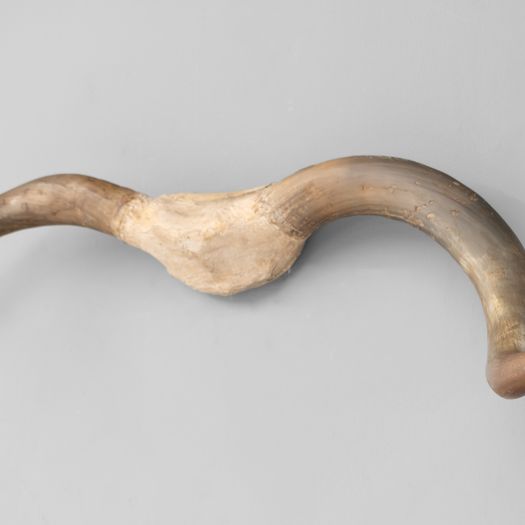Wall Mounted Horns