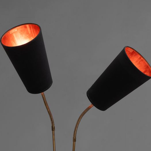 Swedish Twin Neck Floor Lamp