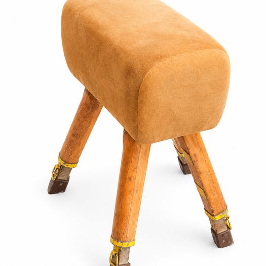 Leather Covered Pommel Horse