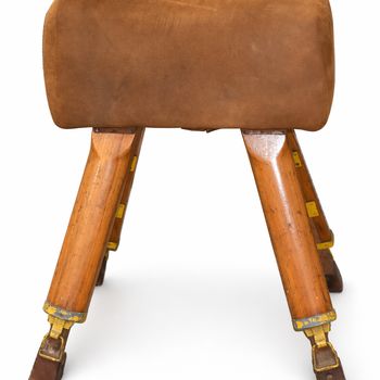 Leather Covered Pommel Horse