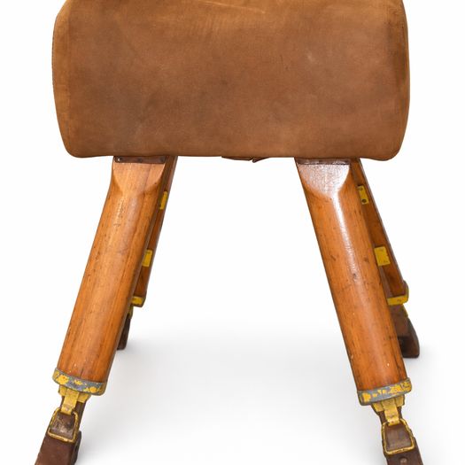 Leather Covered Pommel Horse