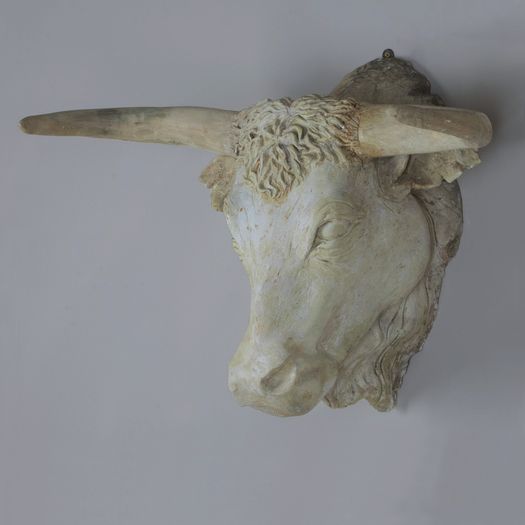 Early 20th Century English Plaster Bulls Head