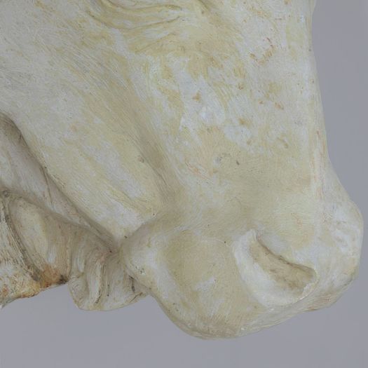Early 20th Century English Plaster Bulls Head