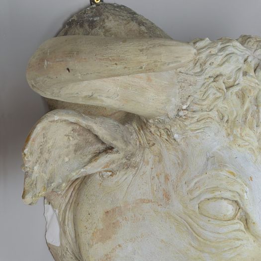 Early 20th Century English Plaster Bulls Head