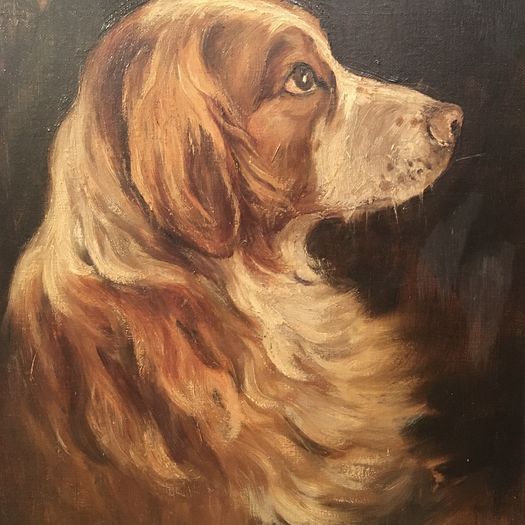 Antique Oil on Canvas Painting of Spaniel Head