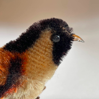 A German Schuco Finch