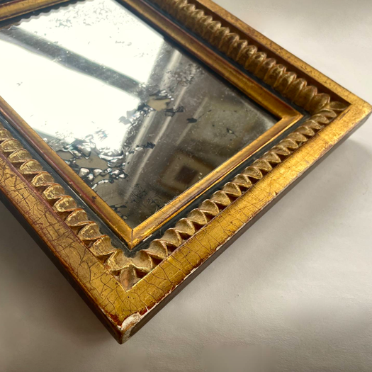 A Small Mirror in Gilt Frame