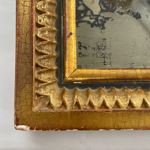 A Small Mirror in Gilt Frame